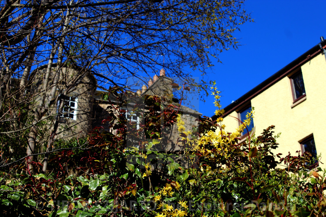 "DEAN VILLAGE - BEHIND FLOWERS" stock image