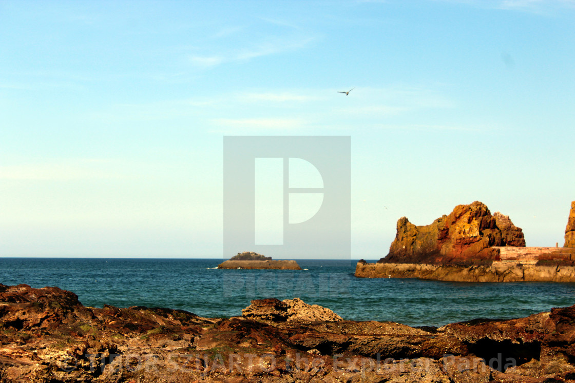 "DUNBAR COASTLINE" stock image