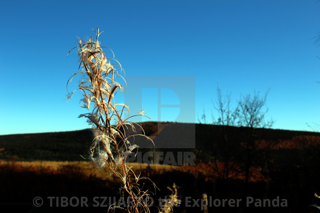 "The Highlands, between the Highlands Border and Durness #27" stock image