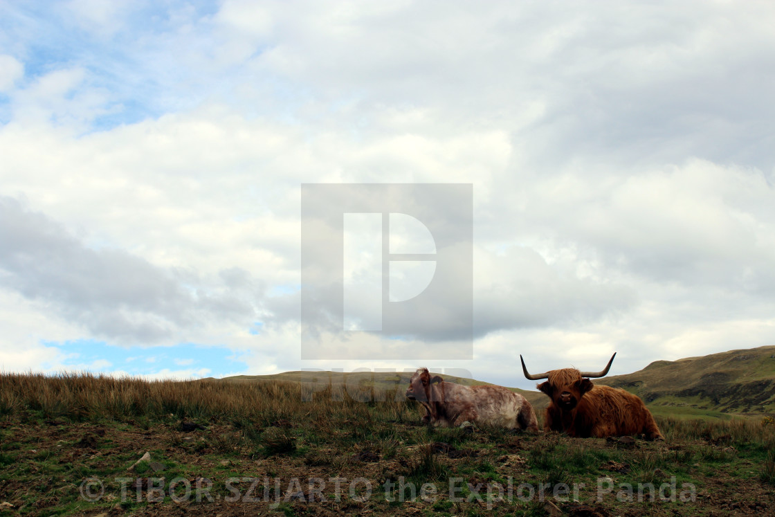 "Skye, a rugged, cruel but beautiful island # 50" stock image