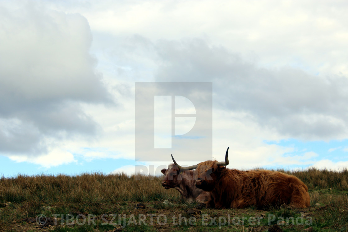 "Skye, a rugged, cruel but beautiful island # 51" stock image