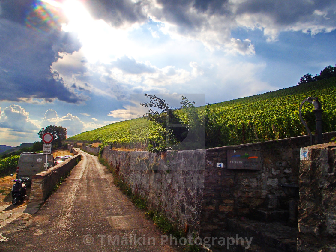 "Weingut am Stein" stock image