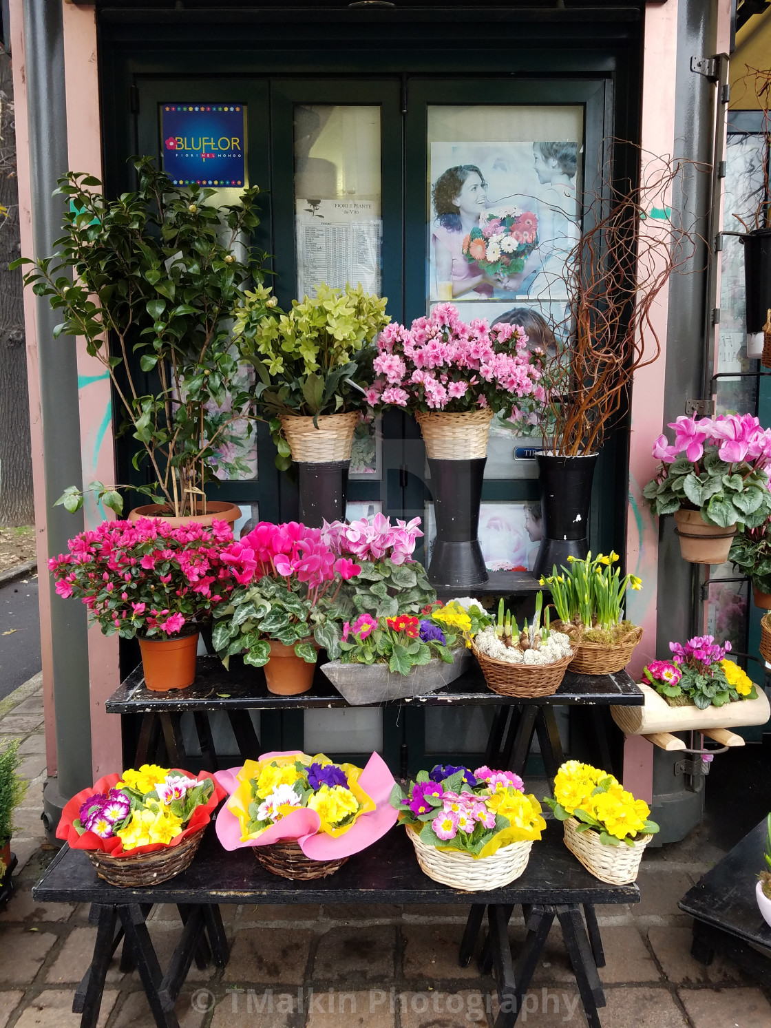 "Milano Flower Vender" stock image