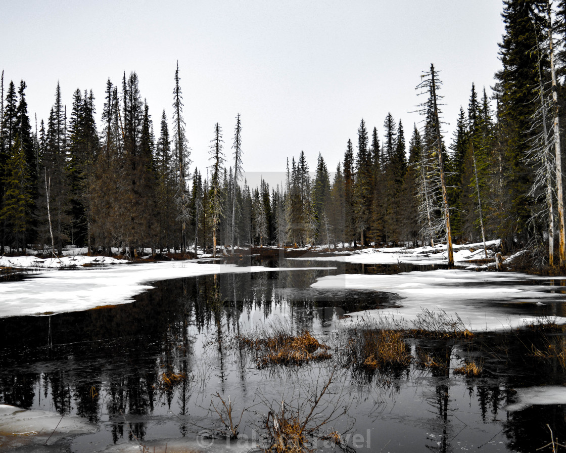 "Spring Thaw" stock image