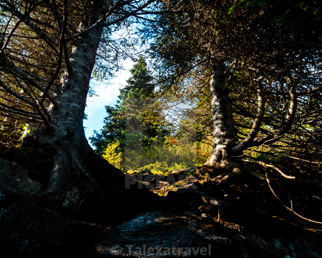"A Place to Rest" by - $12.45 "A Place to Rest" stock image