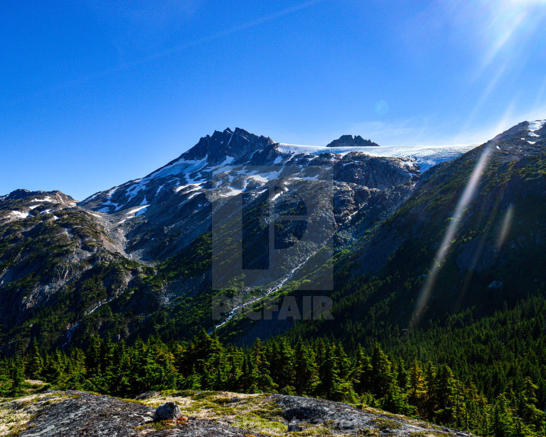 "Natures Beauty" by - $12.45 "Natures Beauty" stock image