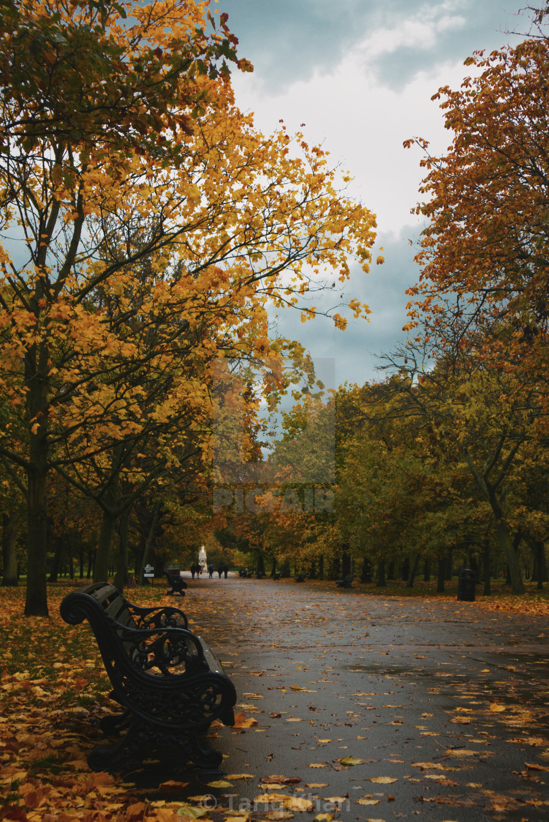 "Autumnal Stroll" by Tariq Khan - $12.35 "Autumnal Stroll" stock image
