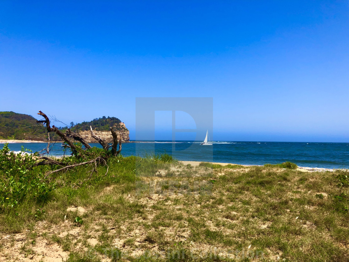 "Lone Sailor" stock image