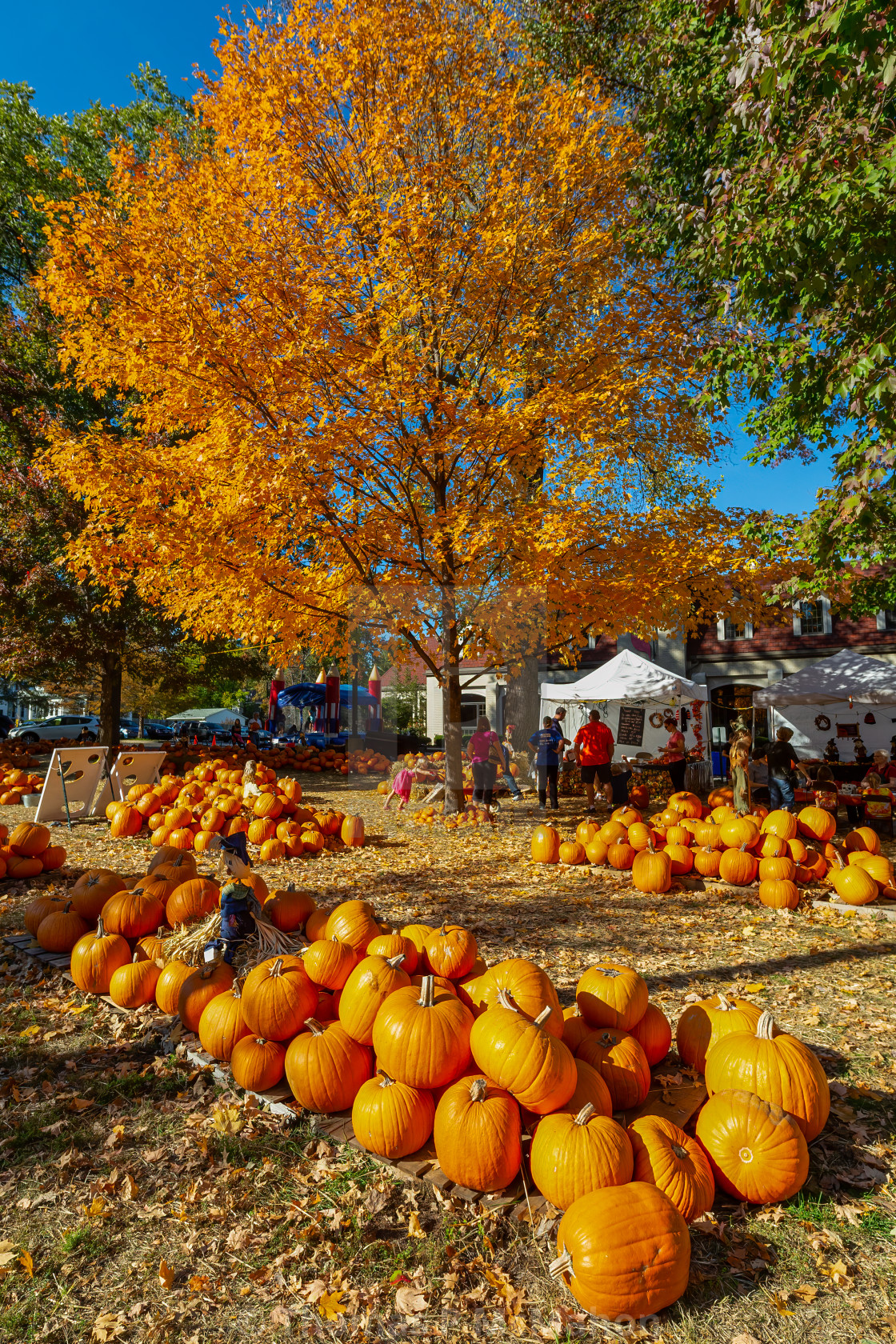 "Punkin Patch" stock image