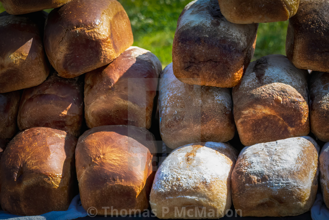 "Tower Grove Park farmers market" stock image