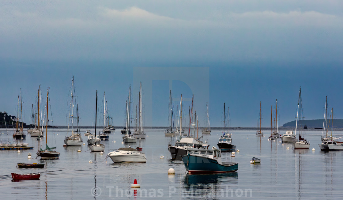 "Yachts and boats in harbor" stock image