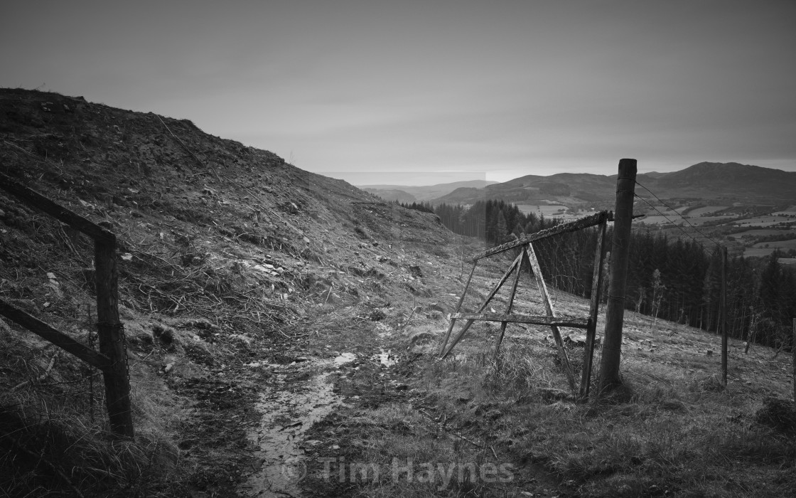 "The Gate of Mordor" by Tim Haynes - $18.55 "The Gate of Mordor" stock image