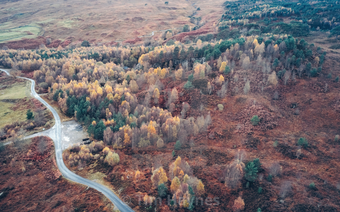 "Caledonian Forest, Glen Lyon" by Tim Haynes - $38.64 "Caledonian Forest, Glen Lyon" stock image