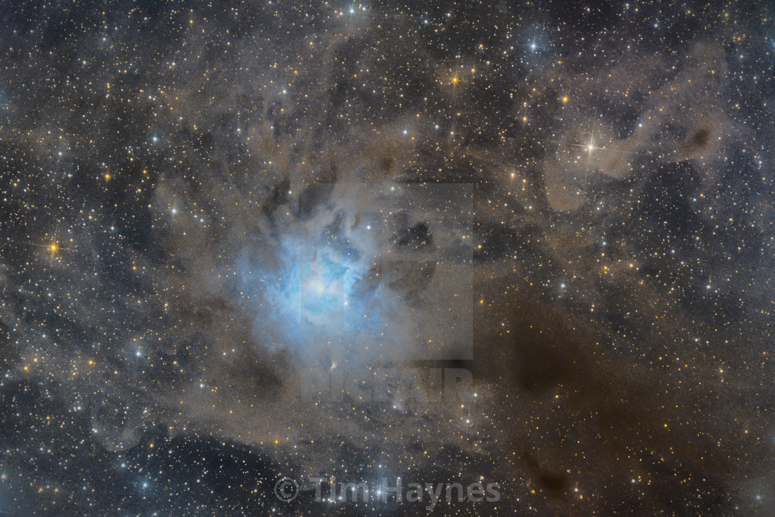 "Iris Nebula" by Tim Haynes - $38.64 "Iris Nebula" stock image