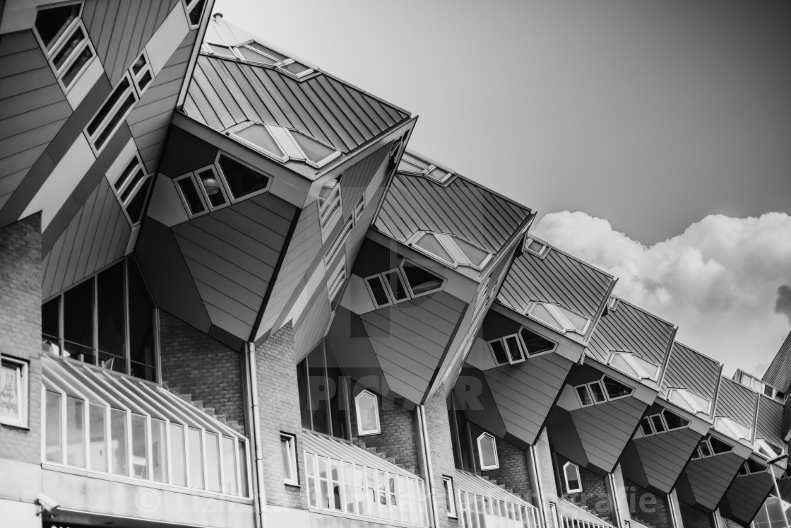 "Blaakse Bos, Rotterdam" by Tiziana Cambarau Fotografie - $54.91 "Blaakse Bos, Rotterdam" stock image
