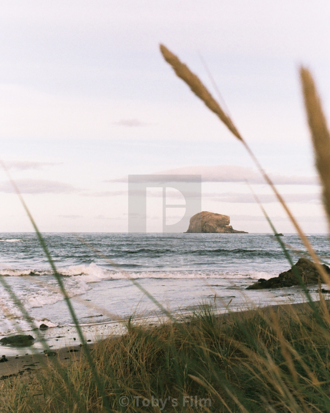 "Bass Rock" stock image