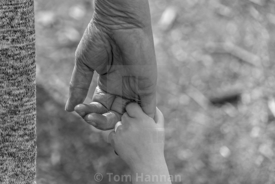 "Trusting Hands" by Tom Hannan - $15.25 "Trusting Hands" stock image
