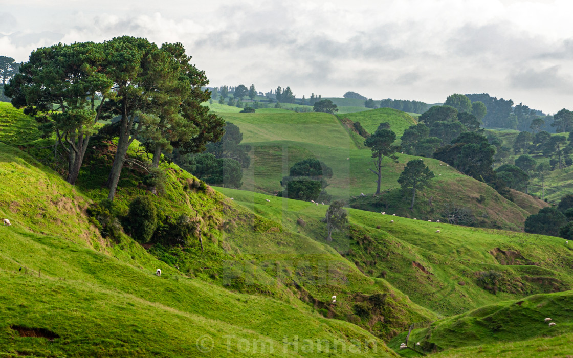 "Matmata Morning" by Tom Hannan - $15.81 "Matmata Morning" stock image