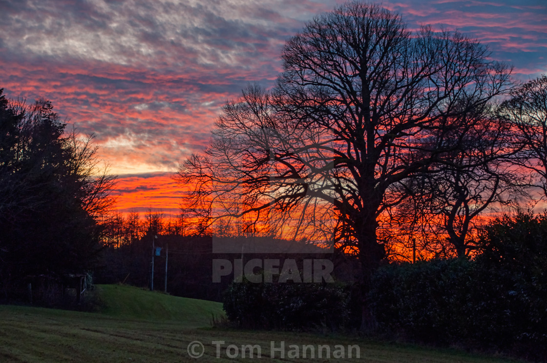 "Winter Sunset" by Tom Hannan - $37.94 "Winter Sunset" stock image