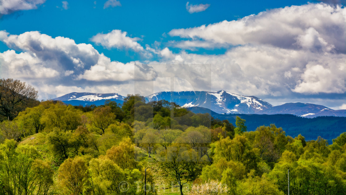 "Lochnagar Ridge With Snow" by Tom Hannan - $19.60 "Lochnagar Ridge With Snow" stock image