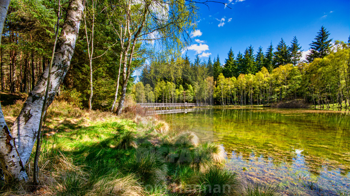 "Cambus O' May" by Tom Hannan - $19.60 "Cambus O' May" stock image