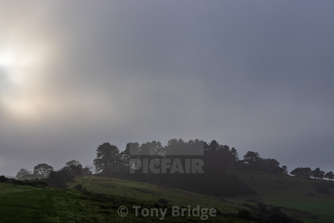 "Breaking through the fog over Penbury Knoll" by Tony Bridge - £40.00 "Breaking through the fog over Penbury Knoll" stock image