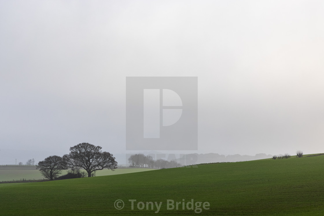 "Green fields and gtrey skies, Cranborne Chase" by Tony Bridge - £40.00 "Green fields and gtrey skies, Cranborne Chase" stock image