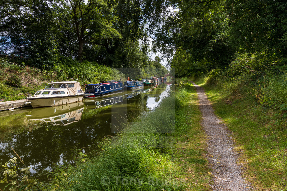 "Pewsey Wharf, Kennet and Avon Canal" by Tony Bridge - £40.00 "Pewsey Wharf, Kennet and Avon Canal" stock image