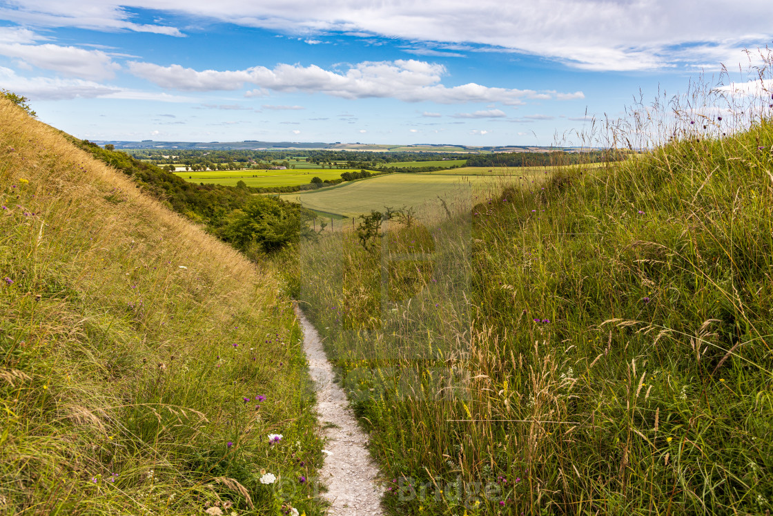 "Footpath down from the Pewsey Downs" by Tony Bridge - £30.00 "Footpath down from the Pewsey Downs" stock image