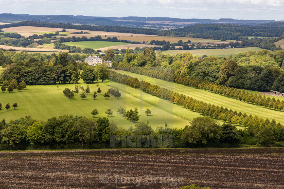 "Higher Berrycourt" by Tony Bridge - £40.00 "Higher Berrycourt" stock image
