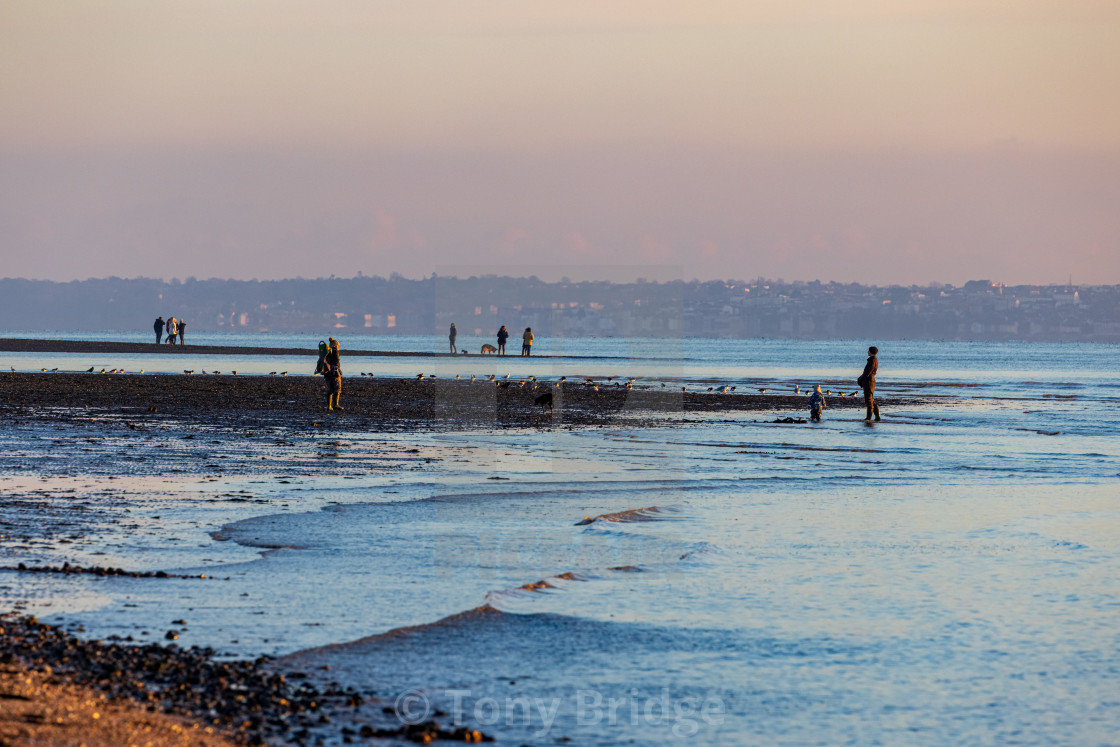 "WInter afternoon on Meon Beach" by Tony Bridge - £40.00 "WInter afternoon on Meon Beach" stock image