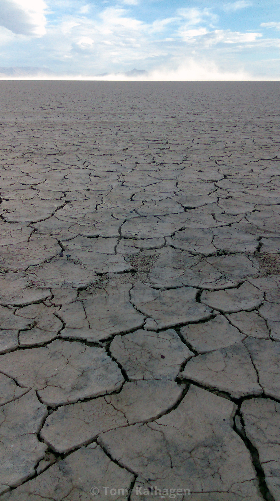 "Alvord Desert" by Tony Kalhagen - $15.11 "Alvord Desert" stock image