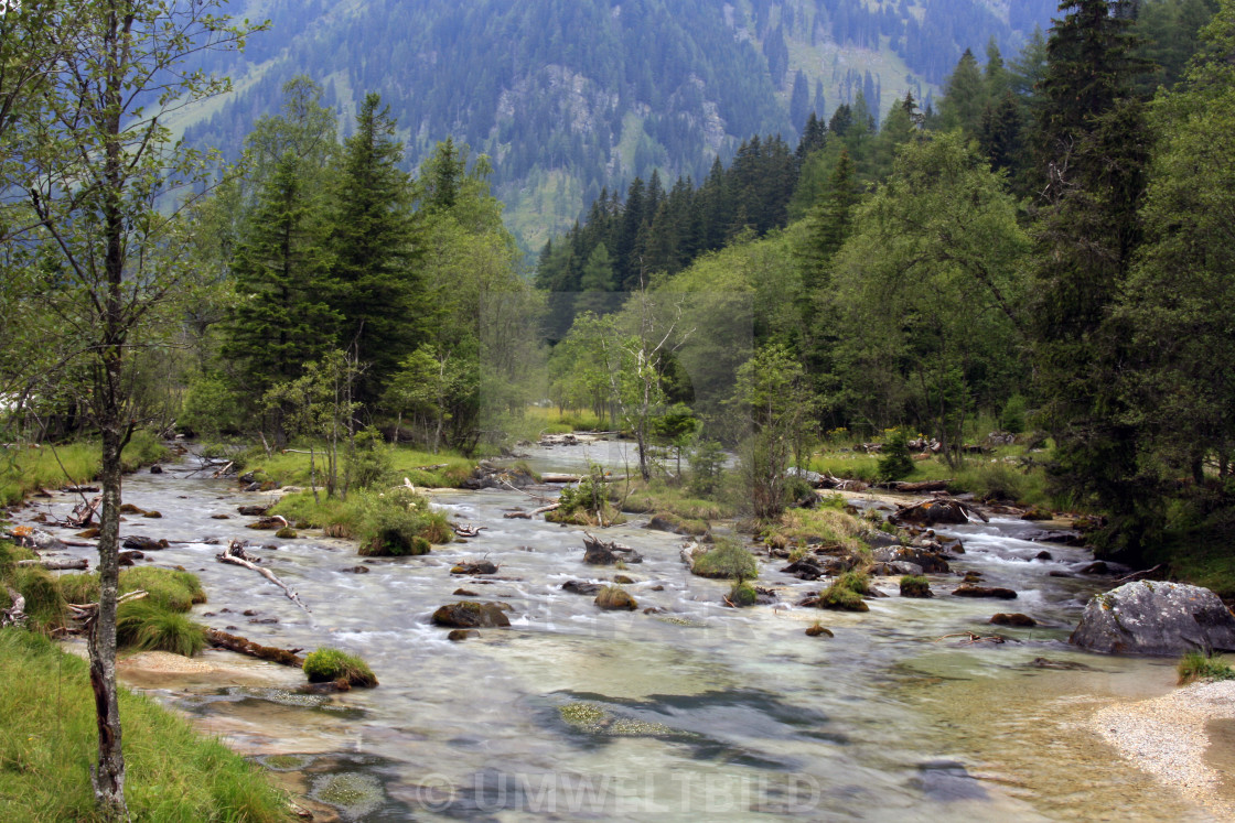"Mountain brook Weisspriach in the Radstaedter Tauern Pass, Alps, province Salzburg, Austria" by UMWELTBILD - £10.00 "Mountain brook Weisspriach in the Radstaedter Tauern Pass, Alps, province Salzburg, Austria" stock image