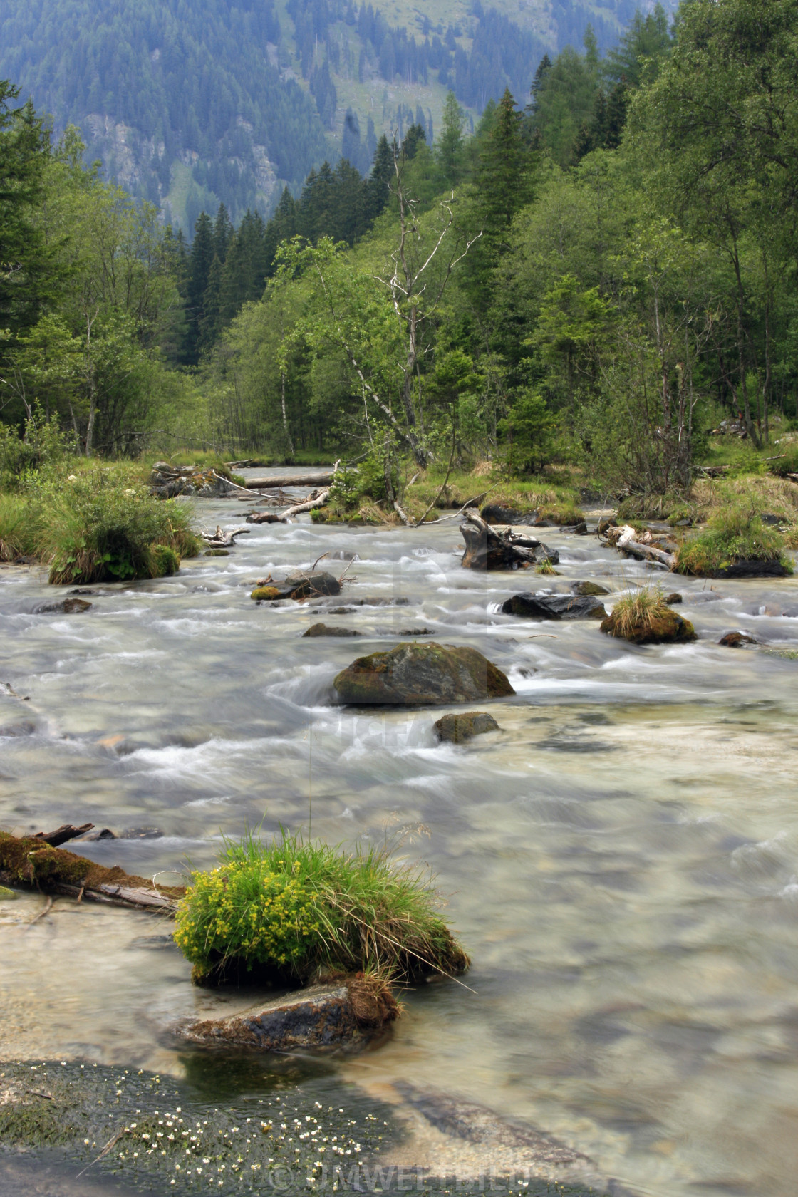 "Mountain brook Weisspriach in the Radstaedter Tauern Pass, Alps, province Salzburg, Austria" by UMWELTBILD - £10.00 "Mountain brook Weisspriach in the Radstaedter Tauern Pass, Alps, province Salzburg, Austria" stock image