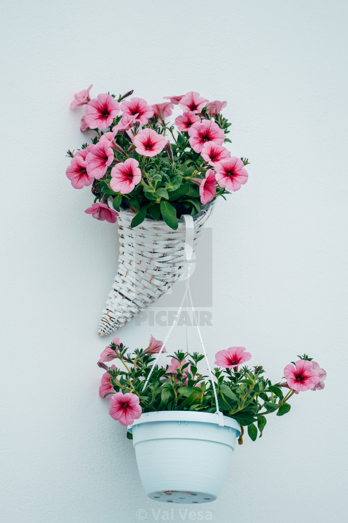 from £12.00