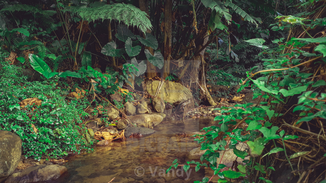 "Manicou River" by Vandy - $7.97 "Manicou River" stock image