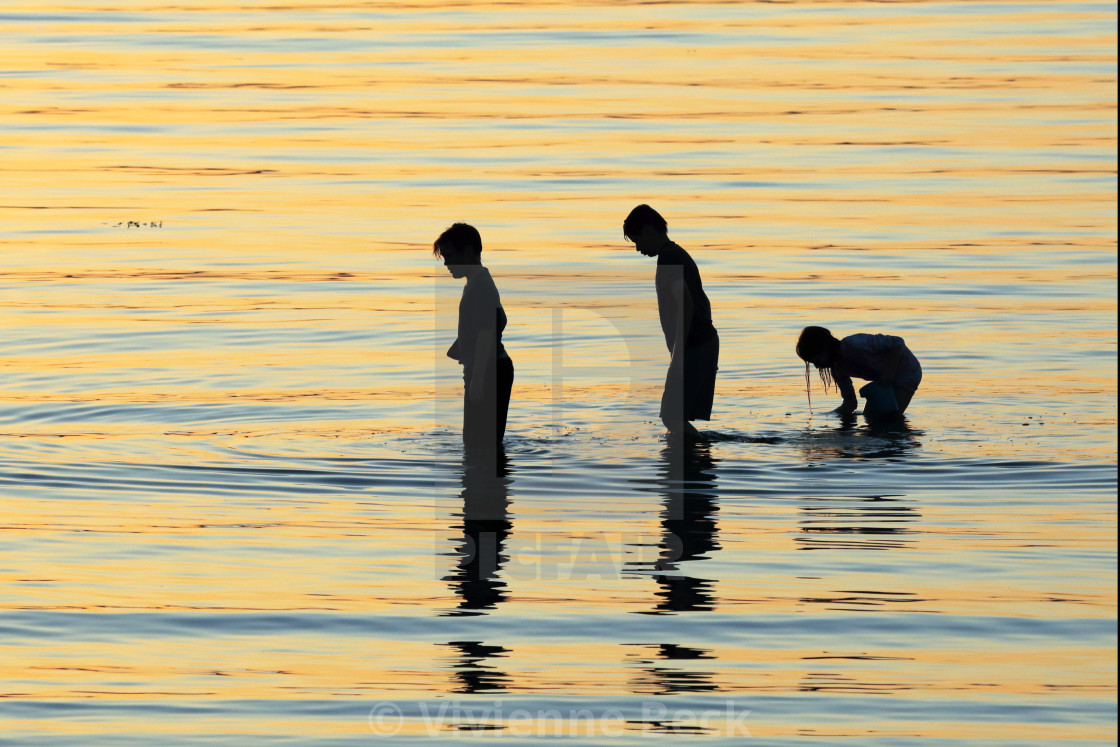 "Childhood summers" stock image