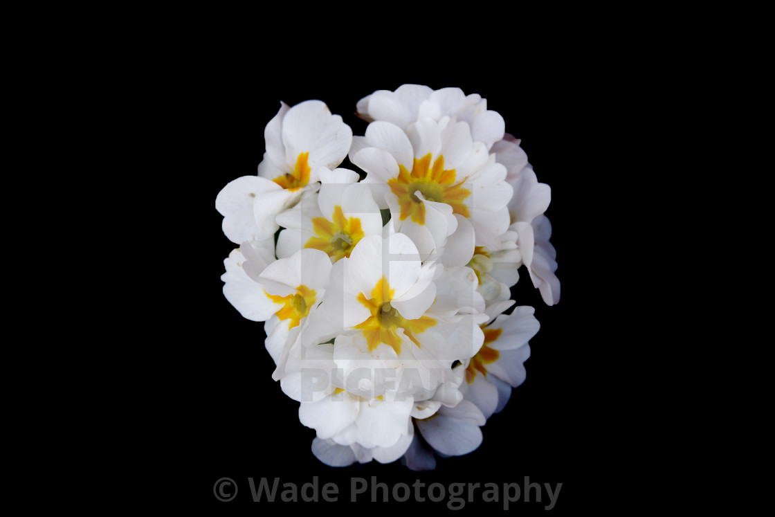 from £25.00