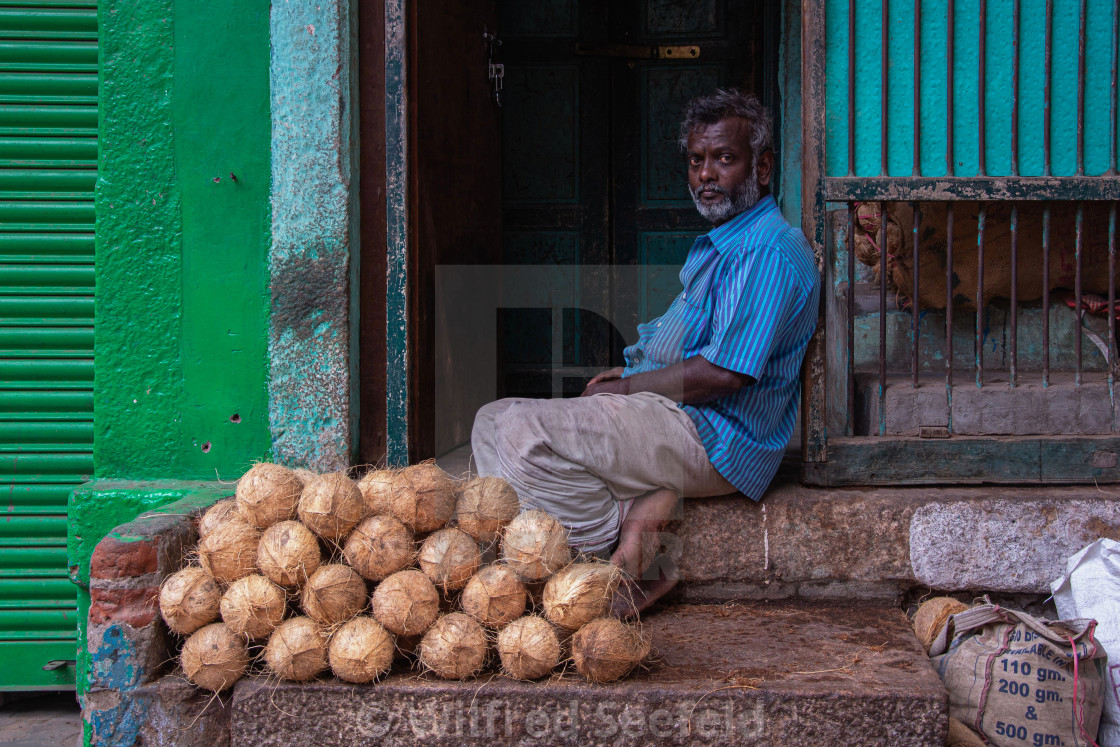 "COCONUT VENDOR" stock image