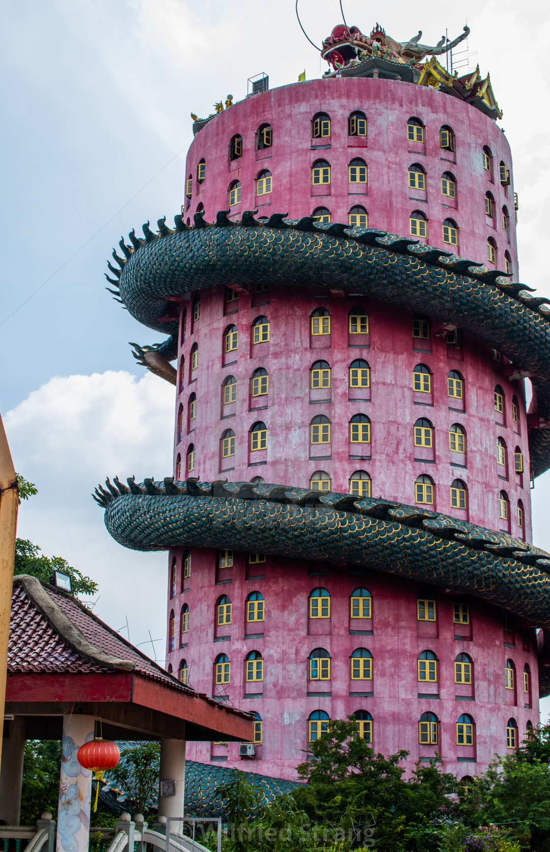 Wat Samphran Dragon Temple In Nakhon Pathom Thailand Asia License Download Or Print For 3 00 Photos Picfair