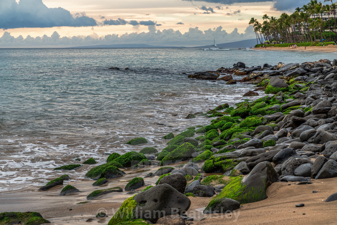 "Green Maui Rocks" stock image