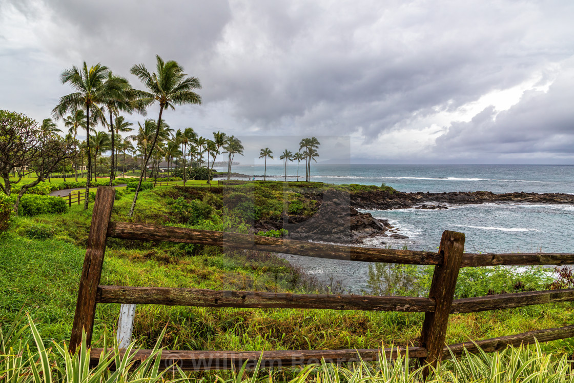 "Kapalua Rain" stock image