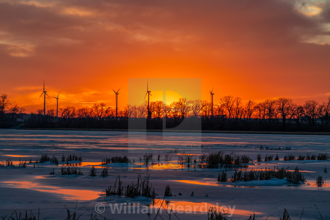 "Little Swan Sunset Ice" stock image