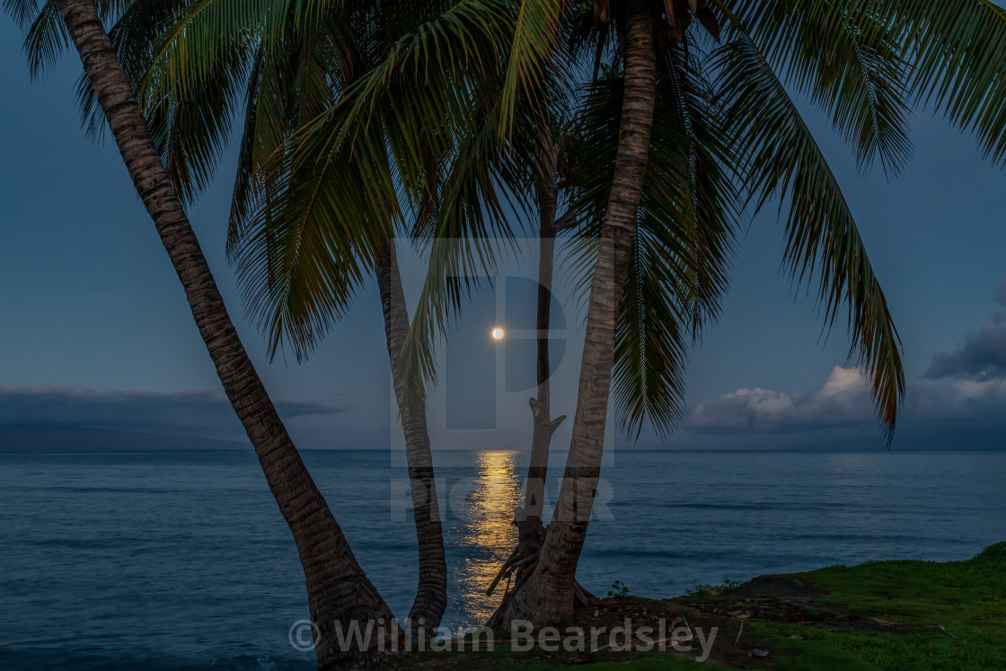 "Snow Moon at Mala Ramp 4" stock image