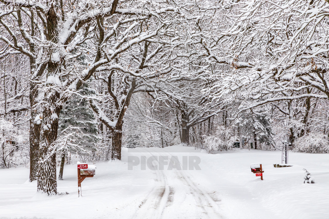 "Winter Rural Lane" stock image