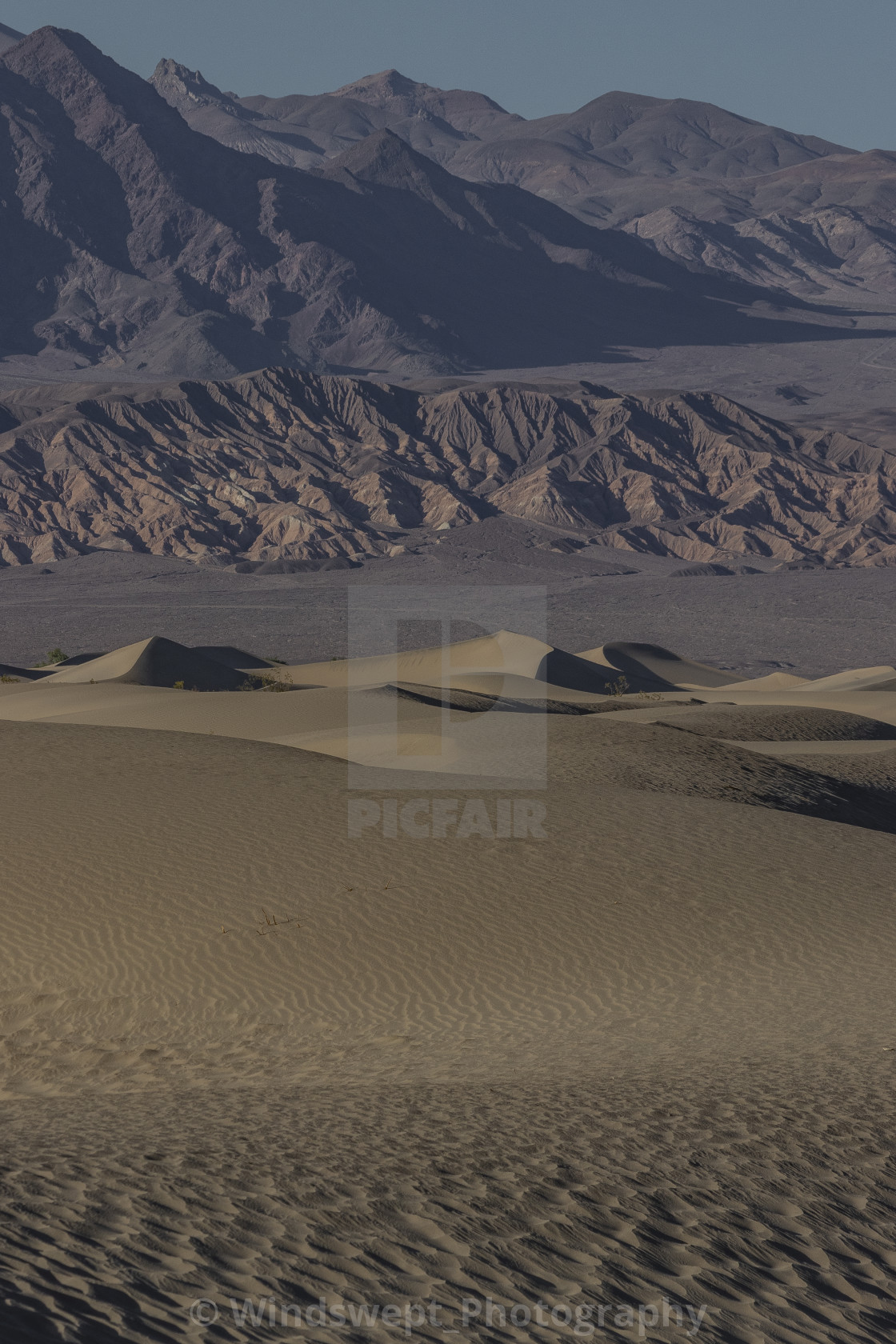 "Mesquite Flat Sand Dunes" by - $70.11 "Mesquite Flat Sand Dunes" stock image