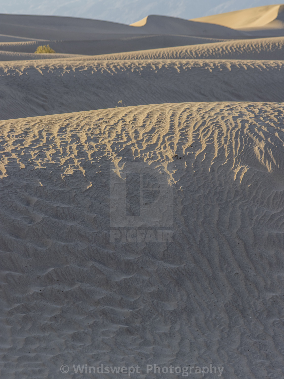"Mesquite Flat Sand Dunes" by - $70.11 "Mesquite Flat Sand Dunes" stock image