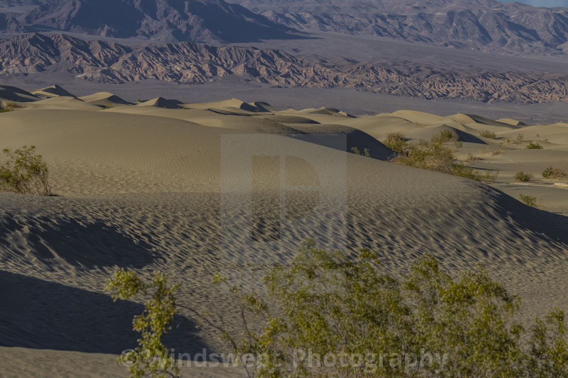 "Mesquite Flat Sand Dunes" by - $70.11 "Mesquite Flat Sand Dunes" stock image