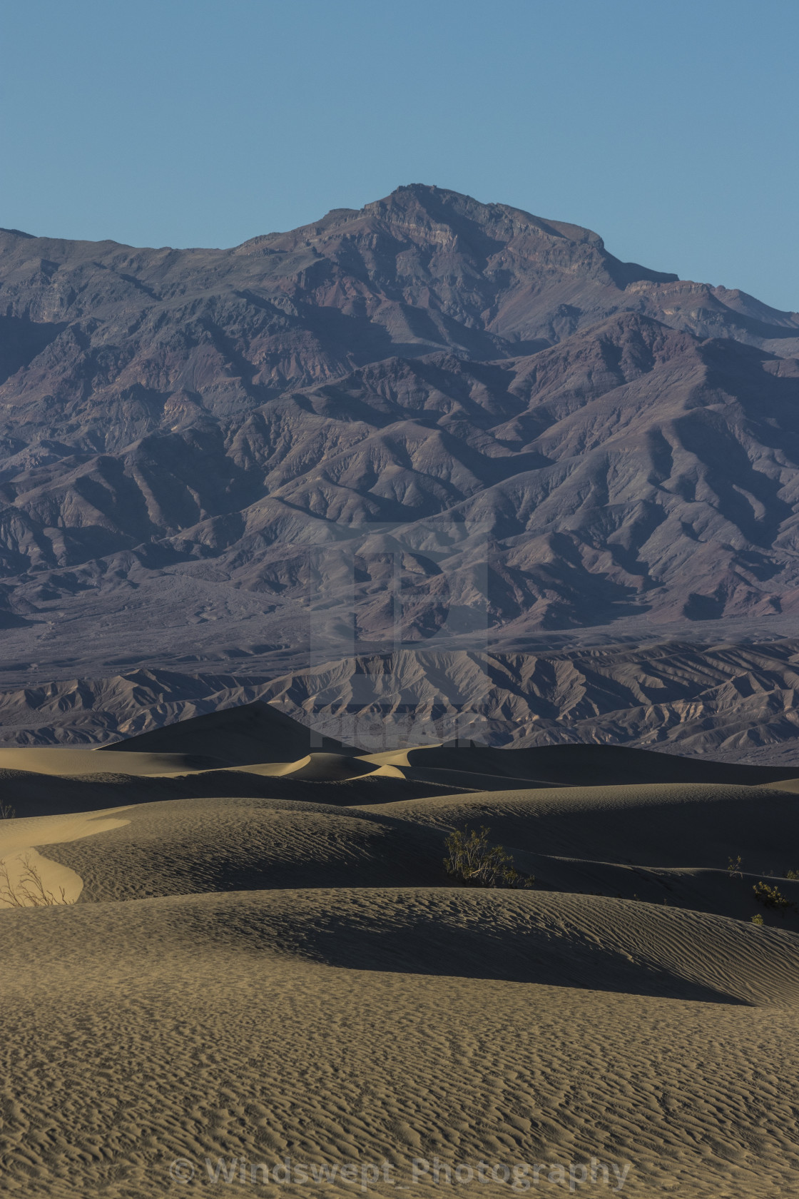 "Mesquite Flat Sand Dunes" by - $70.11 "Mesquite Flat Sand Dunes" stock image