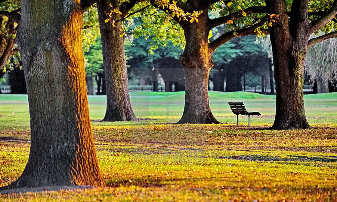 "Peaceful Autumn Scene" by Winkie Chau - $30.91 "Peaceful Autumn Scene" stock image